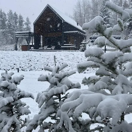 Honey House Wierchy- Prywatna Strefa בית נופש Jaszczurowa