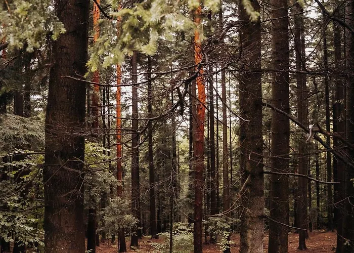 Σπίτι διακοπών Honey House Wierchy- Prywatna Strefa