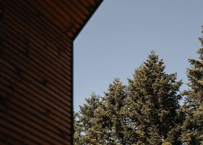 Honey House Wierchy- Prywatna Strefa