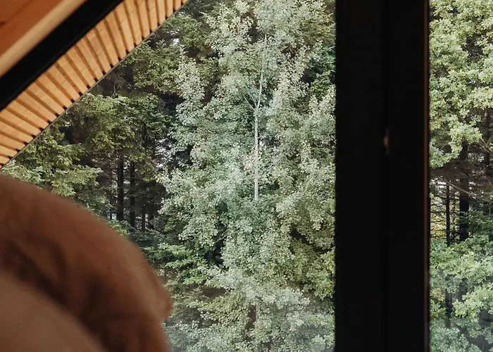 Сasa de vacaciones Honey House Wierchy- Prywatna Strefa Jaszczurowa